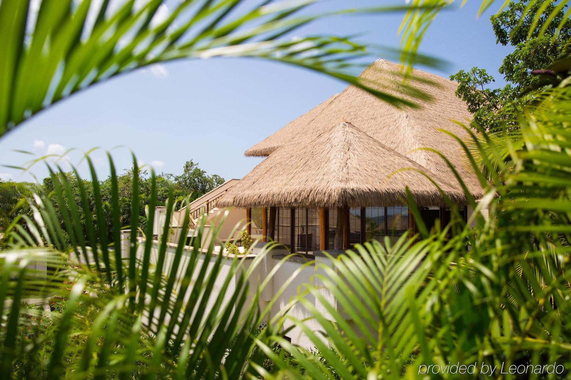 Paradise Beach Невис Экстерьер фото